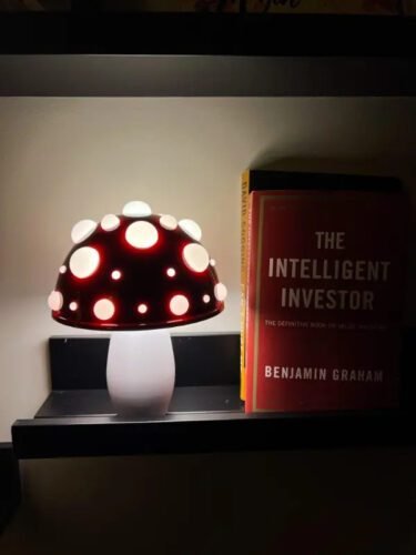 Colorful Mushroom Night Light photo review