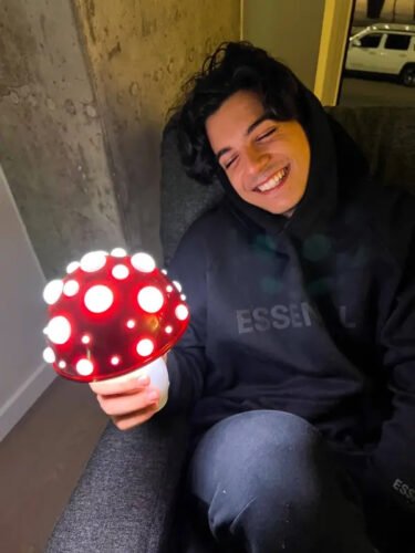 Colorful Mushroom Night Light photo review